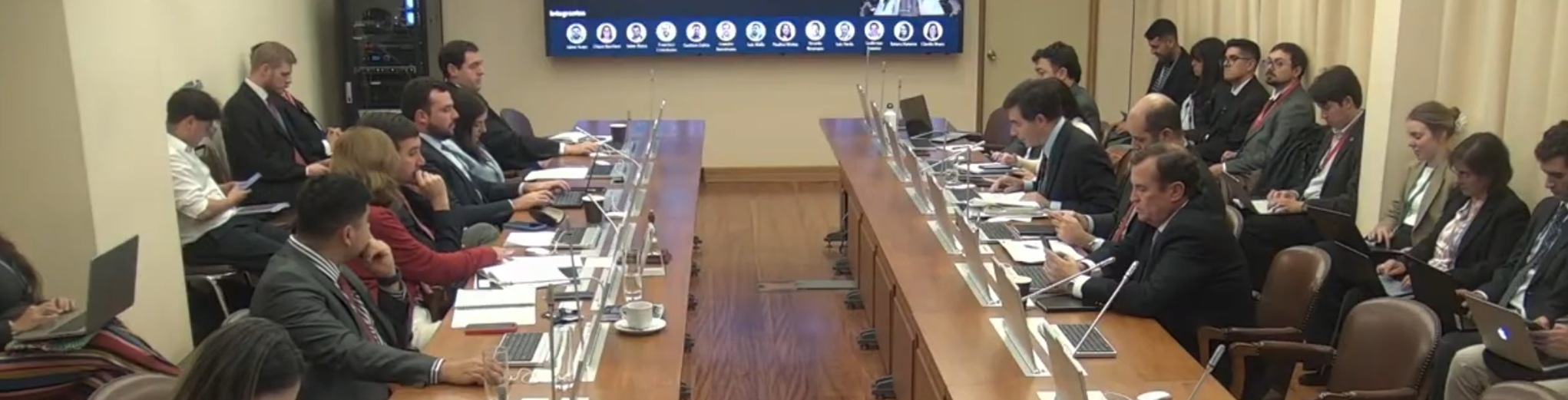 Profesor Irarrázabal expuso en la Cámara de Diputadas y Diputados sobre proyecto que busca reformar el SEIA